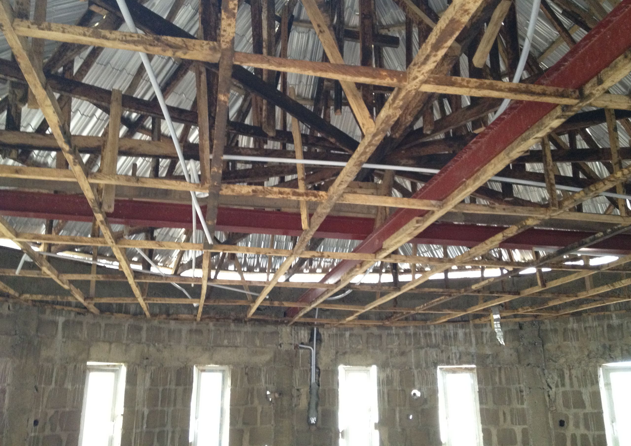 Untitled design (64)